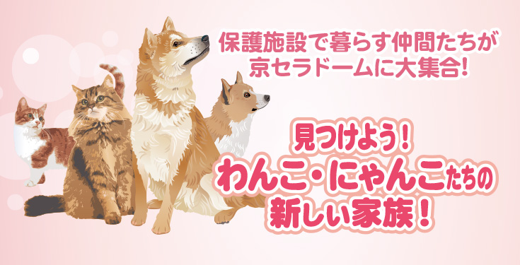 見つけよう!わんこ・にゃんこたちの新しい家族