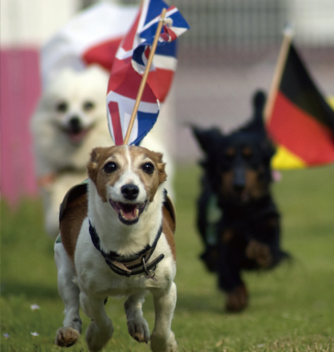 パフォーマンスショー&Wドッグレース