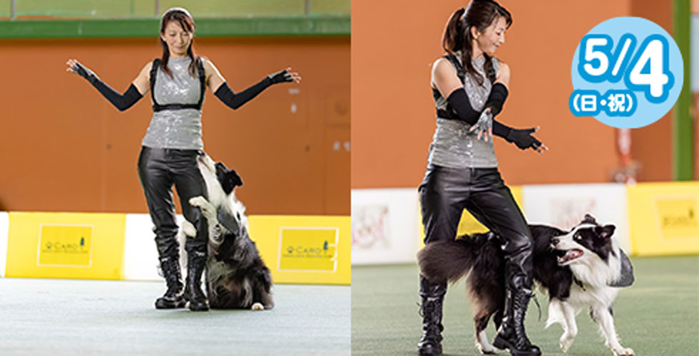 K9フリースタイラー桝田珠実によるドッグダンスショー