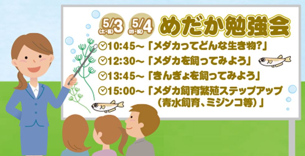 めだか勉強会