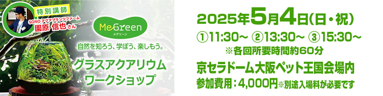 5/4(日・祝) MeGreenワークショップ/勉強会 あなただけの小さな生態系をつくろう!