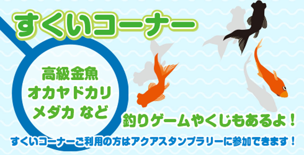すくいコーナー