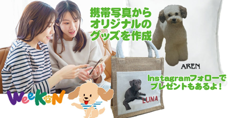 うちのかわいい子