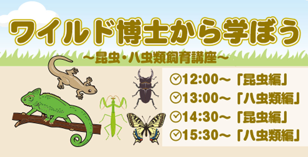 ワイルド博士から学ぼう~昆虫・ハ虫類飼育講座~