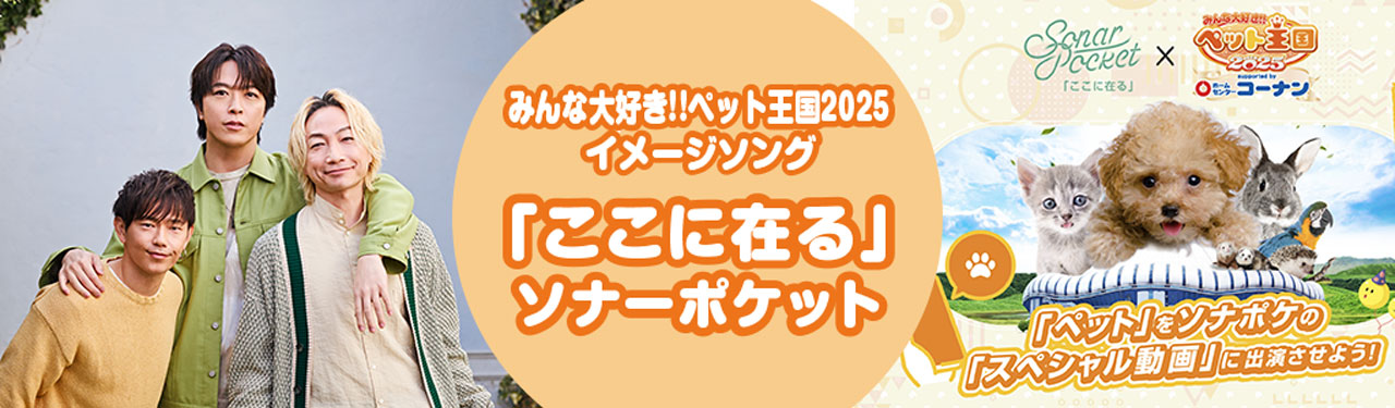 ペット王国 イメージソング ソナーポケット 「ここに在る」