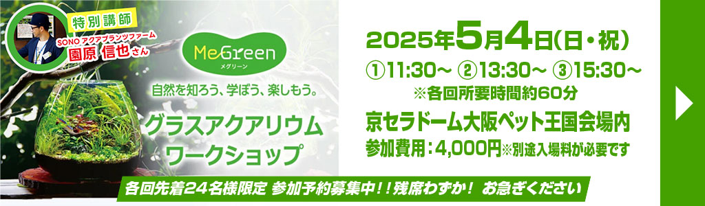 2025年5月4日（日・祝）①11:30～ ②13:30～ ③15:30～※各回所要時間約60分 京セラドーム大阪ペット王国会場内 参加費用：4,000円※別途入場料が必要です 各回先着24名様限定 参加予約募集中！！残席わずか！ お急ぎください
