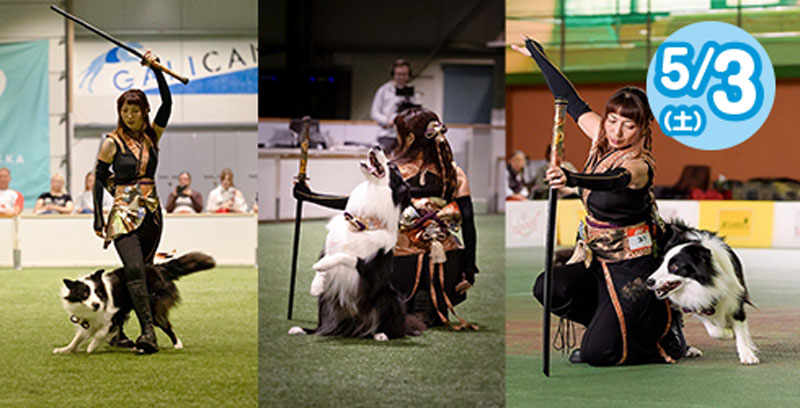 K9フリースタイラー桝田珠実によるドッグダンスショー