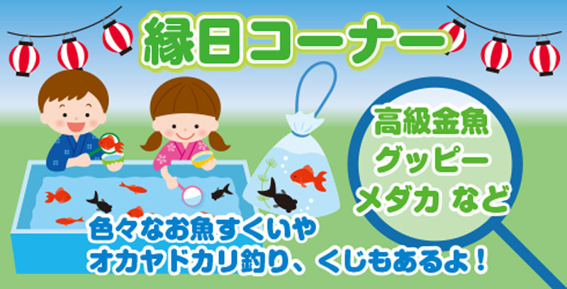 縁日コーナー