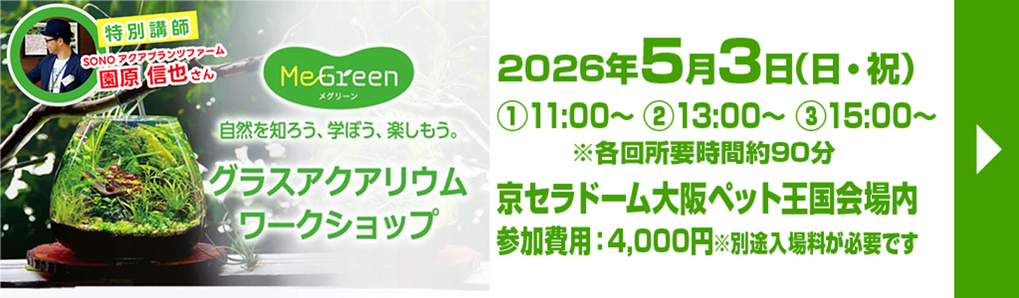 megreen グラスアクアリウムワークショップ 5月3日(日・祝)