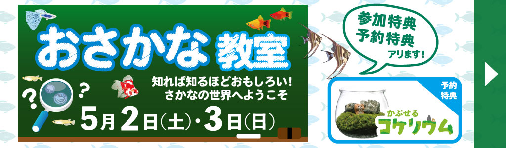 5/2(土)・3日(日) おさかな教室 予約フォームバナー