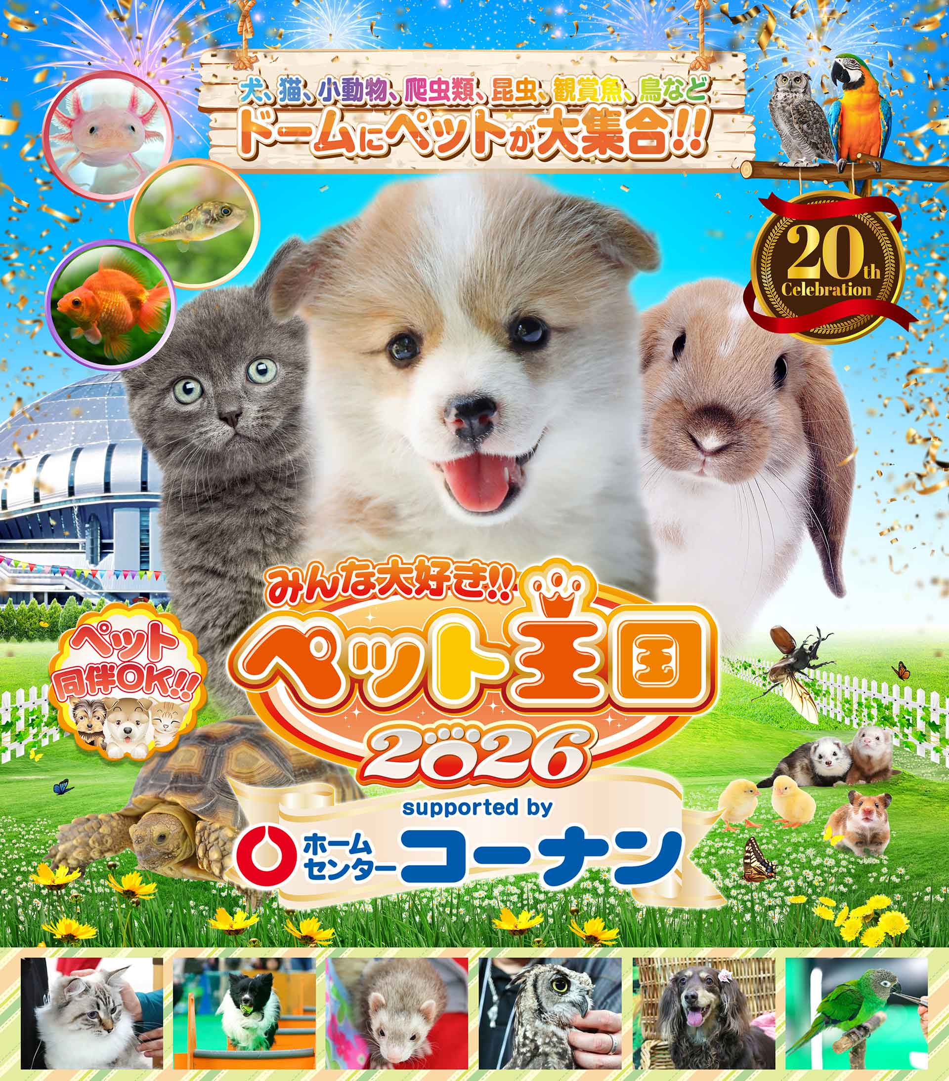 みんな大好き！！ペット王国2026 犬、猫、小動物、爬虫類、昆虫、観賞魚、鳥など ドームにペットが大集合！！
